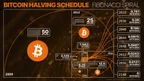 Halving Aftershock: Fees Moon on BTC Runes Rollout thumbnail