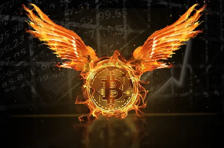 bitcoinphoenix.png