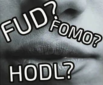 fud fomo hodl holdfear.jpg