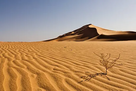 shifting-sand-desert.jpg