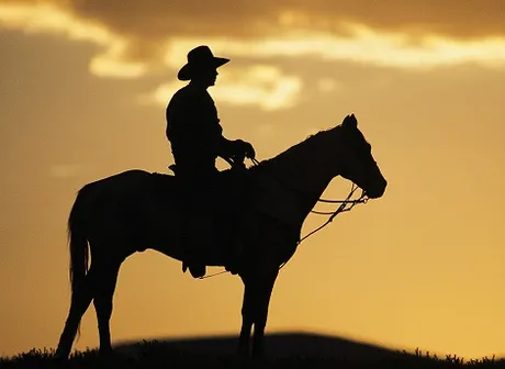 back in the saddle cowboy.jpg