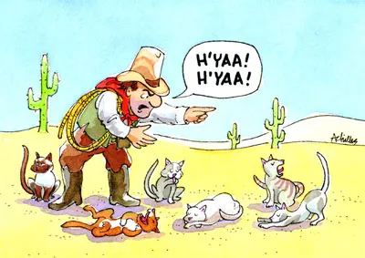 herding_cats600x4001.jpg