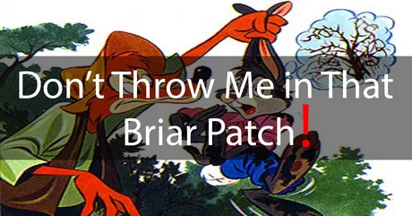 DontThrowMeinThatBriarPatch.jpg