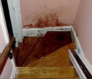 peterson blood stairs.jpg