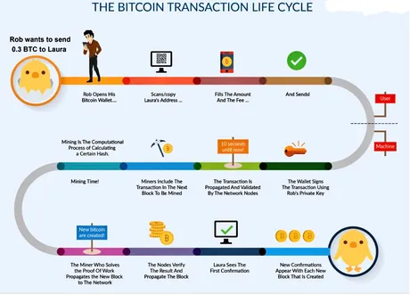 mempool-cycle-btc-transaction-2.png