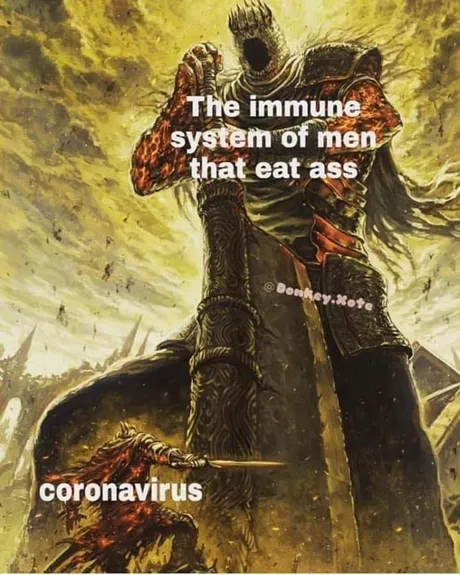 covidimmunesystemmemeass.jpg