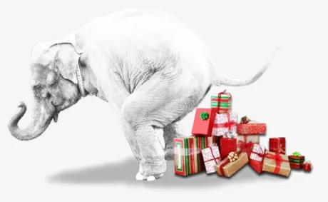 whiteelephanttaxgift.jpg