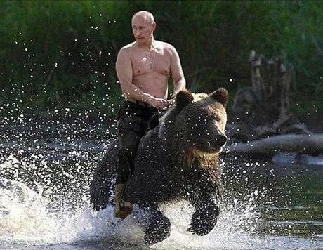 putinbeartopless.jpg