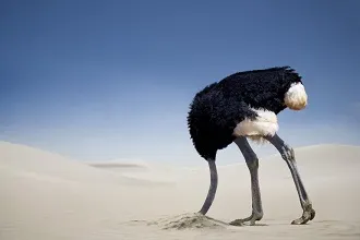 ostrichheadsand.jpg