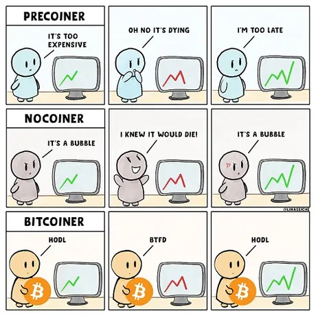 bubblehodlholdbitcoinerfudfomoanimated.jpg